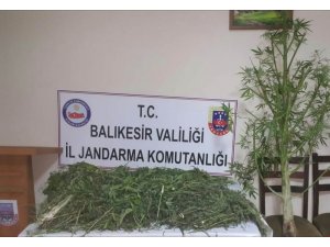 Sındırgı’da 11 kilo esrar ele geçirildi