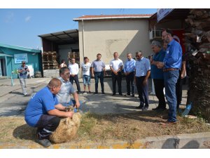 Karadenizli balıkçılar av sezonu öncesi kurban kesip dua etti