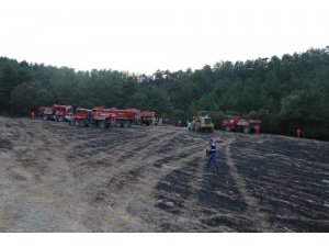 Bolu’da 2 hektarlık orman arazisi yangında zarar gördü