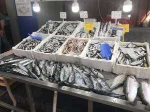 Tezgâhlar balık çeşitleriyle şenlendi