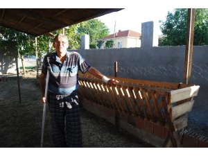12 koçunu dolandırıcılara kaptırdı