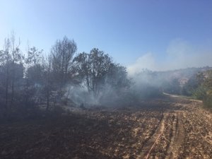 Hatay’da orman yangını