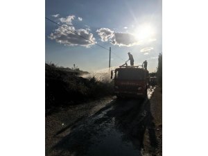 Çocukların yaktığı ateş çam fidanlarını kül etti