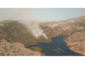 Kahramanmaraş’ta orman yangını