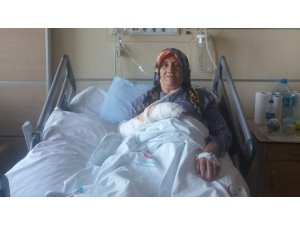 Maganda kurşunuyla elinden vuruldu