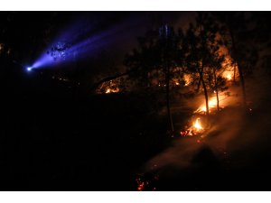 Kütahya'daki orman yangını