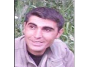 Bir milyon TL ödülle aranan terörist etkisiz hale getirildi