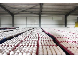 Afyonkarahisar’ın ihracatı arttı