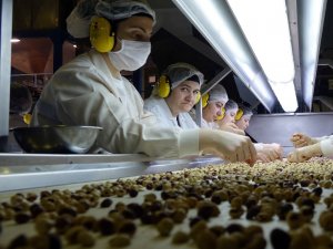 Trabzon'dan 64 ülkeye fındık ihracatı