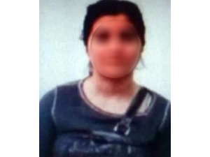 İkna edilen PKK’lı teslim oldu