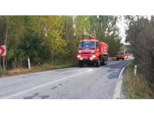 Tavşanlı’daki orman yangını kontrol altında