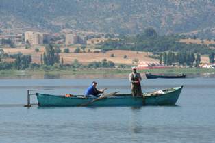 Beyşehir gölünde, gümüş balığı yok oluyor