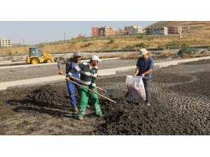 Siirtli çiftçilerin gübresi belediyeden