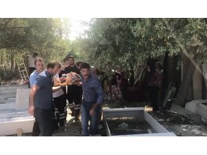 Mezarcının bahçesine uçtu