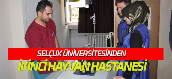 Selçuk Üniversitesinden Avrupa Standartlarında İkinci Hayvan Hastanesi