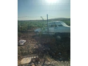 Otomobil bağa girdi: 2 Yaralı