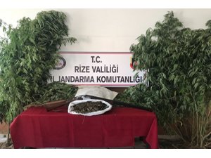 Rize’de uyuşturucu ve silah operasyonu: 10 gözaltı