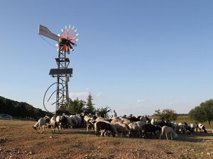 Beyşehir'de hayvanların içme suyu güneş ve rüzgar enerjisinden