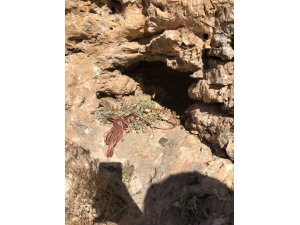 Siirt'te PKK'ya ait sığınaklarda mühimmat bulundu