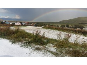 Ardahan’da çiftçi borçları 1 yıl ertelendi