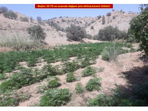 Diyarbakır'daki terör operasyonu