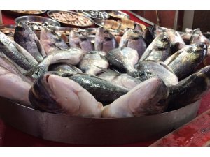 ’Dolar’ balıkçıları da vurdu