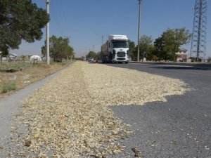 Çiftçilerin asfaltta "çekirdek kurutma" nöbeti