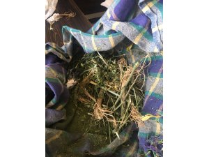 Kırıkkale'de uyuşturucu operasyonu