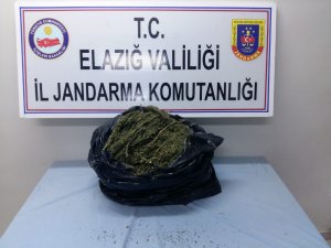 5 kilo esrarla yakalanan 2 şüpheli tutuklandı