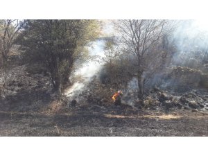 Bahçe yangını korkuttu