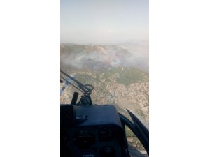 Hatay’da orman yangını