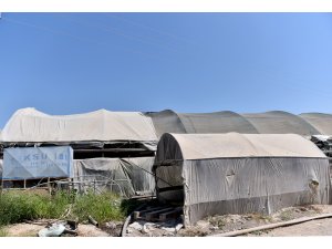 GÜNCELLEME - Sahte içki imalathanesine sera görünümü vermişler