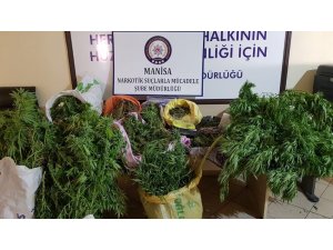Muhtar ve oğlu uyuşturucudan tutuklandı