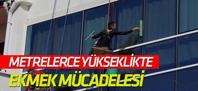Metrelerce yükseklikte ekmek mücadelesi