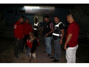 AKUT’un çalınan kadavra köpeğini polis buldu