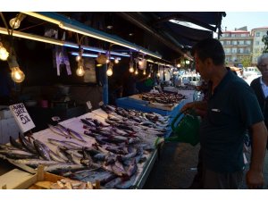 Havaların sıcak olması palamut satışını etkiliyor