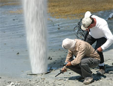Bu fışkırma deprem habercisi mi?