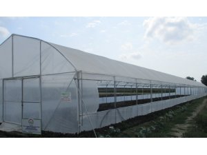 Genç çiftçiler hibe projelerle üretime geçiyor