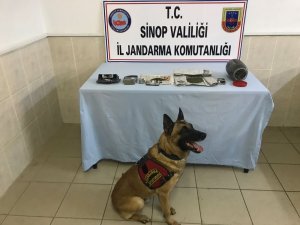 Jandarmadan uyuşturucu operasyonu