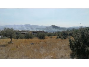 Milas’ta makilik yangını