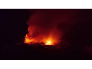 Bolu’da odunluk yangınında kümes hayvanları telef oldu
