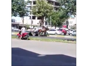 Aşırı yüklü arabayı çekemeyen atın hali görenleri üzdü