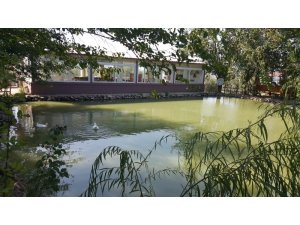 İşkur’dan aldığı girişimcilik belgesiyle kendi işinin patronu oldu