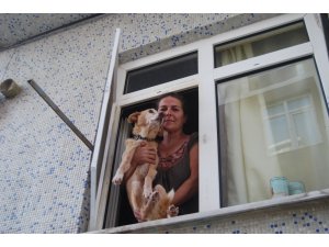 Köpek havlaması mahalleli ile inşaat işçilerini birbirine düşürdü