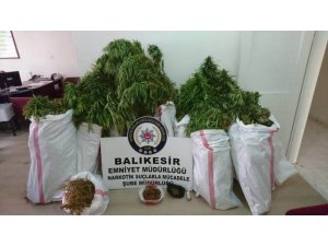 Gönen’de bahçesinde kenevir yetiştirilen eve operasyon