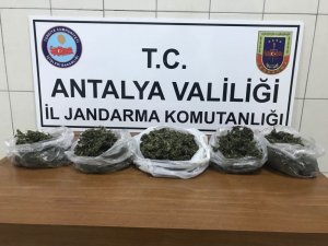 Alanya’da 2 kilo esrar ele geçirildi