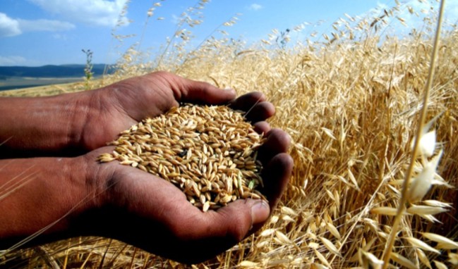 26 günlük stok kaldı haberine yalanlama!