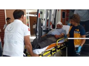 Yaşlı adam ölümden döndü
