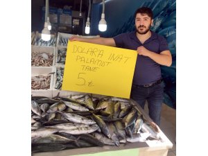 Dolara inat palamut 5 TL