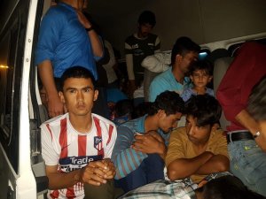 Muradiye’de 82 kaçak göçmen yakalandı